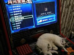 -AOE 火焰 剧本密室狼人杀