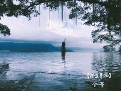 -大埔公路-马料水段香港中文大学(公交站)