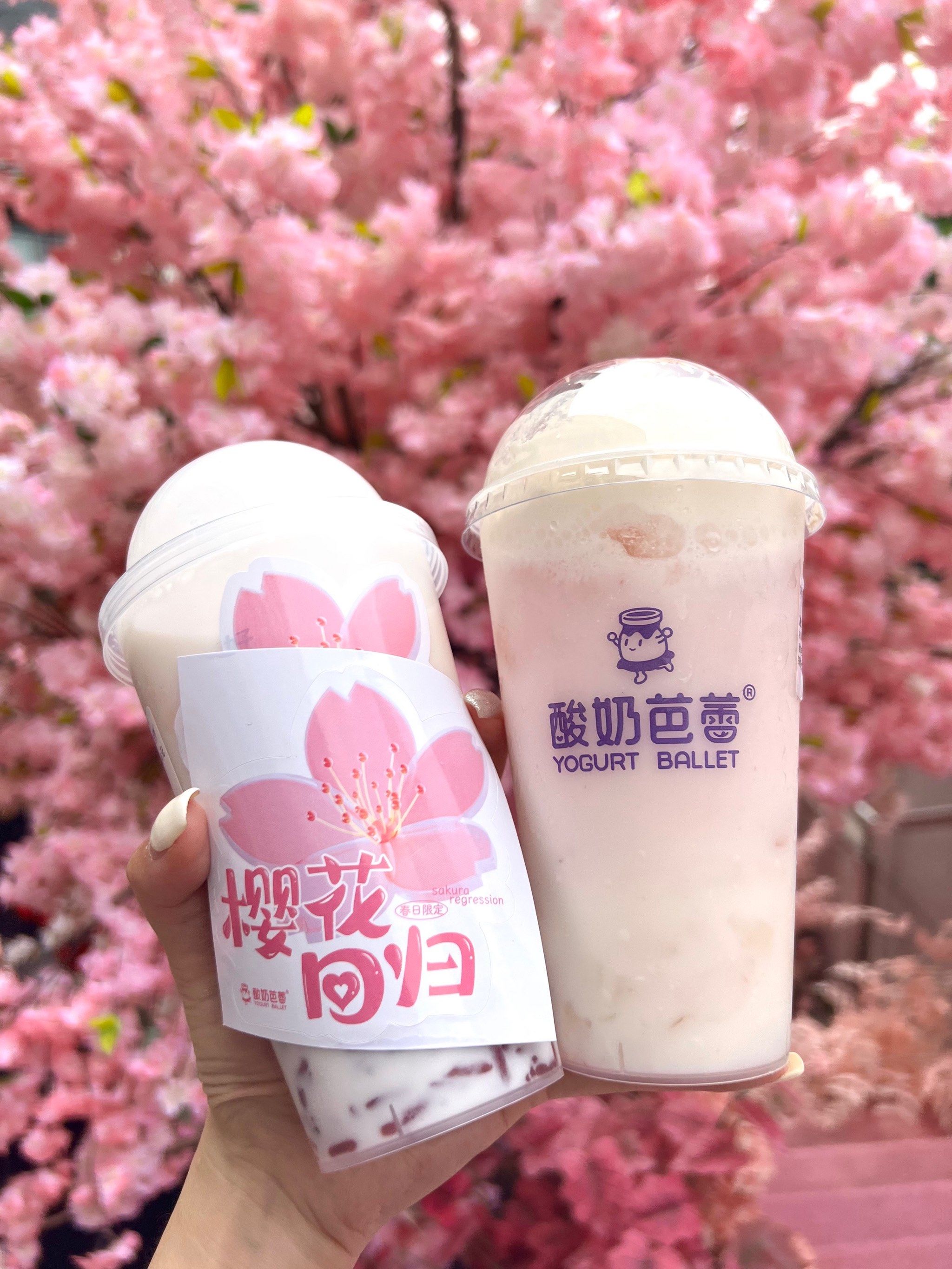 昆明限定!樱花季get少女心樱花饮品94