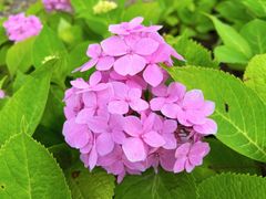 -上海山野camping·户外天幕烧烤·团建拓展营地