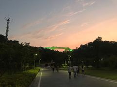 -飞凤山奥体公园