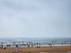 -日照海滨国家森林公园