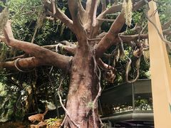 -长江文明馆