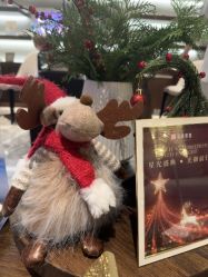 -丽妍雅集 Rubis SPA