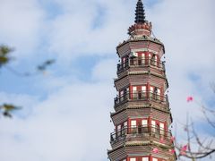 -顺峰山公园