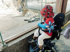 -南昌动物园