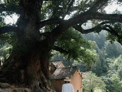 -杨家堂村