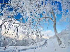 -哈尔滨热雪奇迹