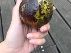 -白鹭湾湿地公园