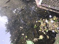 -青青世界