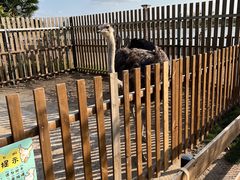 -太阳岛度假酒店