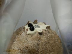 -Tomado绿色烘焙(大尧三路店)