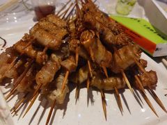 -金刚山烧烤(红旗大街店)