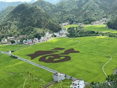 -万峰林风景区