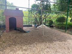 -南宁荔园维景国际酒店·荔园中餐厅