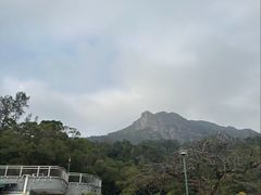 -狮子山郊野公园