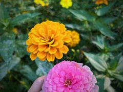 -永定河休闲森林公园
