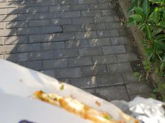 -金杨老摊头蛋饼(金口路店)