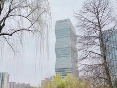 -新虹桥中心花园