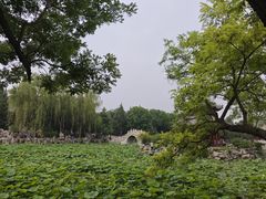 -莲池书院博物馆