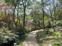 -南京市江宁方山