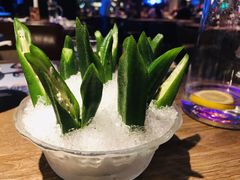 -蝴蝶汇音乐酒馆(罗湖店)