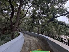 -沂蒙山旅游区云蒙景区(蒙山国家森林公园)