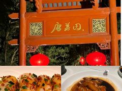 -侨美·唐荔园·40年地道粤菜