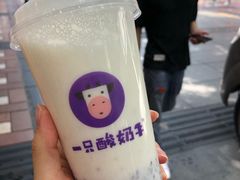 -一只酸奶牛(八一路店)