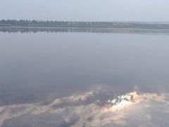 -绿堤公园