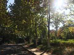 -四里河滨水生态公园