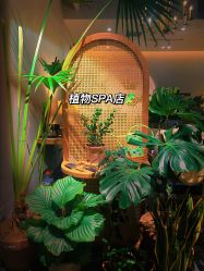 -芳香乐府疗愈空间·SPA·冥想