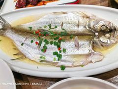 清蒸白鱼-锡和无锡菜(景丽苑店)