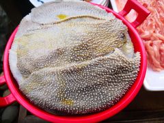 清油毛肚-二荆条·蜀鲜汇城市森林火锅