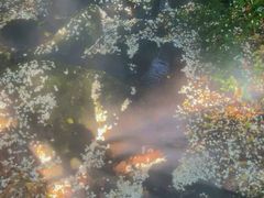-昆明青龙峡风景区