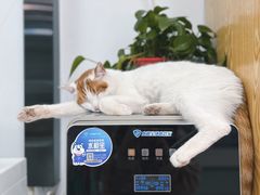 -中农大我爱我爱动物医院·核磁CT·猫病·24小时夜诊中心(石佛营店)