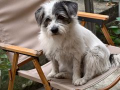 -21G Espresso(吉珠南门店)