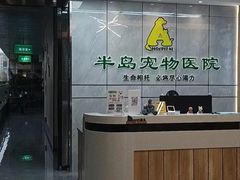 -半岛宠物医院24小时(西派城店)