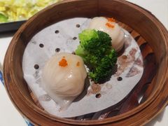 -食膳星港记·手工现做港式茶餐厅(吉联店)