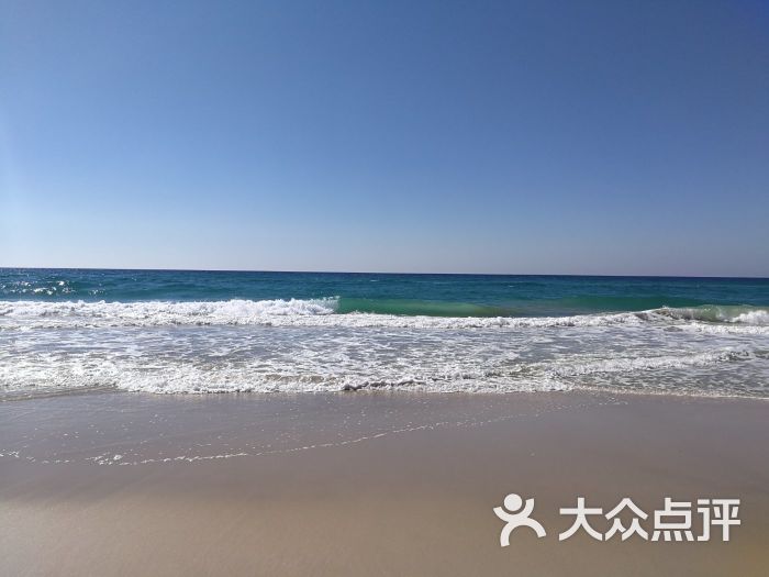 surfers paradise图片 - 第15张