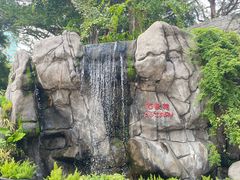 -九龙公园