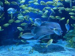 -太平洋海底世界