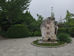 -北坞公园