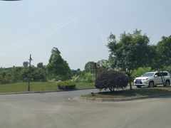 -成都蒲江花样年福朋喜来登度假酒店·宜客乐西餐厅