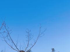 -沂蒙山旅游区龟蒙景区