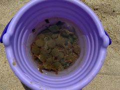-营口金泰珑悦海景大酒店
