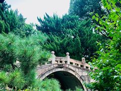 -上海醉白池公园