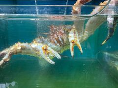-海味当家·蒸锅海鲜(星海公园店)