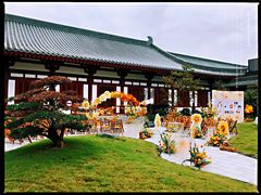 -唐御宴•御宴宫•唐代菜点(芙蓉西路店)