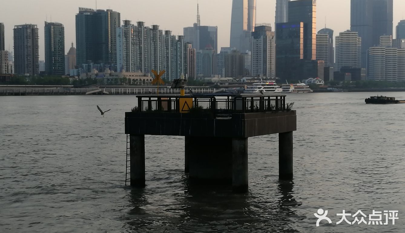 吹着夏风,目光追随着那一只只江鸥,自由地翱翔在浦江上空